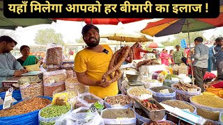 Famous Dry fruits spices amp jadi buti shop in Old Delhi Khari Baoli Market Delhi street food [upl. by Akeryt]