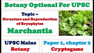 Structure and Reproduction in Bryophytes Marchantia Gametophyte Sporophyte Gemma Cups Anatomy [upl. by Ellicott247]