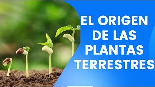 EL ORIGEN DE LAS PLANTAS TERRESTRES 🌱🌱 CUANDO LAS PRIMERAS PLANTAS CONQUISTARON LA TIERRA [upl. by Caralie]