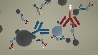 AIAPACK Test Cup Reagent Technology  Animation [upl. by Peggie]