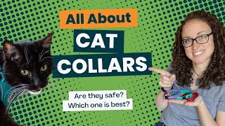 All About Cat Collars  A Complete Guide [upl. by Hayman]