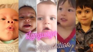 Stages First Language Acquisition [upl. by Pasahow53]