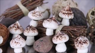 Meringues champignon [upl. by Nairdna]