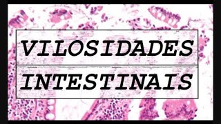 VILOSIDADES INTESTINAIS  Pra que serve [upl. by Hildagard122]