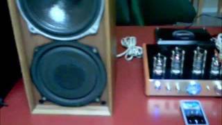 Celestion Ditton 15 [upl. by Marucci]