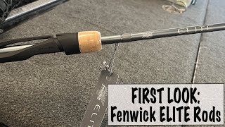 FIRST LOOK Fenwick ELITE Rods [upl. by Arlon]