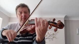 Secret Garden passacaglia with viola on song [upl. by Tierell]