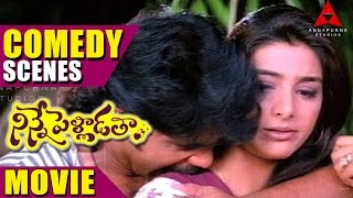 Kannullo Nee Roopame Song TELUGU LYRICS  Ninne Pelladatha Movie Songs  Nagarjuna Tabu [upl. by Avahc952]