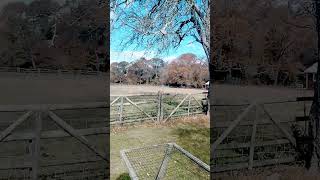 Fence repair on the farm fall [upl. by Nikolaos71]