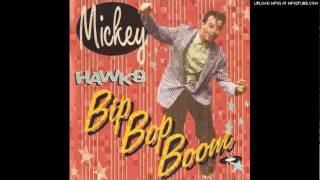 Mickey Hawks  Bip Bop Boom Rerecorded1989 [upl. by Ezeerb74]