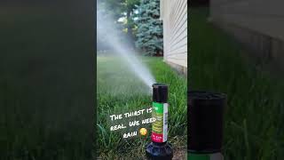 The BEST Above Ground Sprinkler diylawncare [upl. by Elysha]