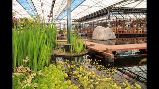 Watertuin Naaldwijk  Allin live cooking restaurant [upl. by Bresee167]