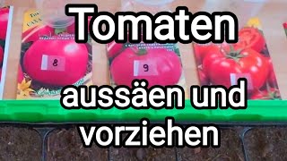 Tomaten 🍅 aussäen und vorziehen März  April [upl. by Amarillis]