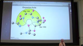 12 Kevin Aherns Biochemistry  Enzyme Mechanisms [upl. by Danella]