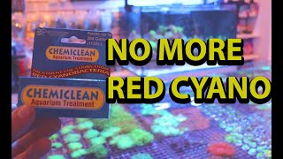 How To Get Rid Of Red Cyano Algae \\ Using Chemiclean [upl. by Ahtennek]