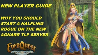 EVERQUEST GUIDE  Starting a Halfling Rogue on the Agnarr server 1080p [upl. by Marisa]