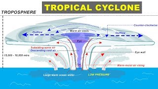 Tropical Cyclone Hurricane Storm Formation explained  Cyclone Biparjay in Arabian Sea Gujarat [upl. by Notgnilliw81]