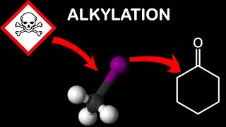 Alkylation of Cyclohexanone [upl. by Avle]