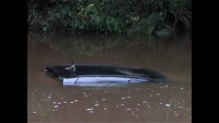 RUSWARP FLOODS can we take anymore water whitby [upl. by Thacker]