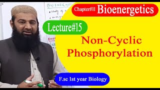 Biology Ch11Lecture15 NonCyclic Phosphorylation FSc 1st Year [upl. by Price]