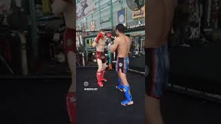 Sparrings in pk saenchai muaythai music thaiboxing [upl. by Newby]