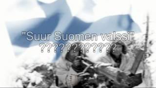 quotPunikkiquot Leo Nieminen äänessä  SUOMI OLI SYYLLINEN TALVISOTAAN [upl. by Nytsuj483]