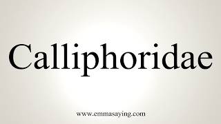 How To Pronounce Calliphoridae [upl. by Sung]