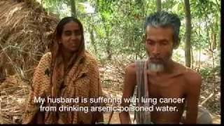 Arsenic The Largest Mass Poisoning in History [upl. by Atinnod]