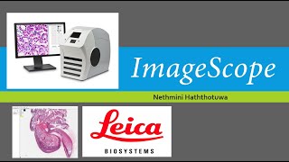 ImageScopeImage analysis softwarefull guide [upl. by Elaweda]