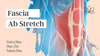 Fascia Abdominal Stretch [upl. by Yemiaj]