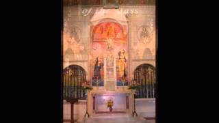 July Novena  The Discalced Carmelite Nuns Of Philadelphia [upl. by Previdi753]