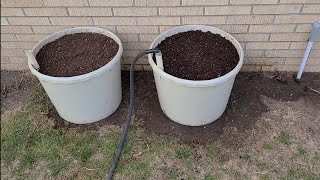 Water Wicking Grow Tub A time saving device made from cattle lick tubs that also conserves water [upl. by Cotsen]