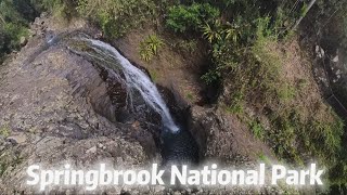 202409 Springbrook National Park  Gold Coast QLD Australia [upl. by Yzzik915]