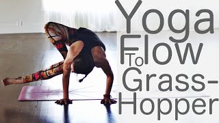 Vinyasa Flow Yoga for Balance to Grasshopper [upl. by Hugon380]