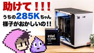 うちのintel Core Ultra 9 285K不具合直らん、せっかくInWinケースで組んだのに… [upl. by Akram]