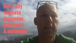 Increasing Melatonin Serotonin amp Dopamine Naturally [upl. by Drannel]