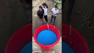 Bucket Luck Challenge Catch the wrongdoer [upl. by Budding691]