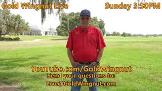 Gold Wingnut Live 8424 at 330 PM [upl. by Hadley]