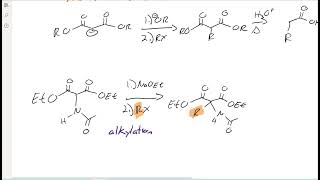 CHEM113 22 7 Amidomalonate [upl. by Bernadene]