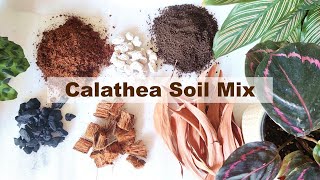 Calathea Potting mix  Calathea soil mix [upl. by Alyacim]