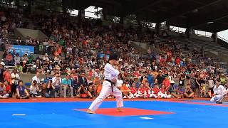 Kukkiwon Taekwondo Demonstration [upl. by Saduj]