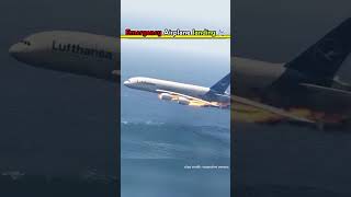 How plane Landed on Hudson 😱facts shorts factholic shortvideo [upl. by Noella]