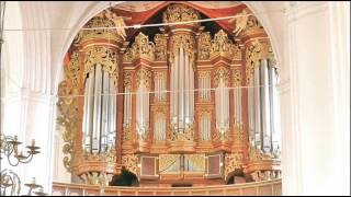 Buxtehude  Toccata BuxWV 155  Ton Koopman [upl. by Fara25]