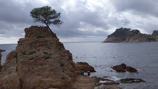 La Mar Menuda  Tossa de Mar Costa Brava 2 [upl. by Nnoved195]