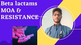 beta Lactams moa amp resistance [upl. by Hiltner]