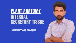 Internal Secretory tissue  Plant Anatomy amp Morphology by Mushtaq Saqib [upl. by Nyladnor]