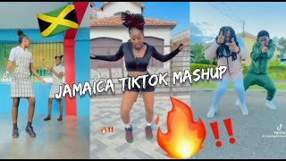 NEW JAMAICAN TIKTOK MASHUP 2024 [upl. by Nosyaj]