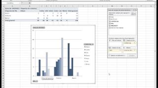 Curso de Excel Avanzado Gráficos dinámicos [upl. by Archibald]