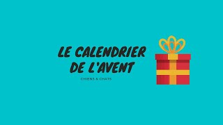 Le calendrier de lAvent pour chiens amp chats made in France [upl. by Eward]