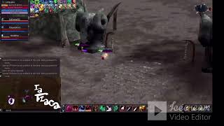 masacre en varkas  Lineage2 elite  ZonaPvp clan [upl. by Sydelle]